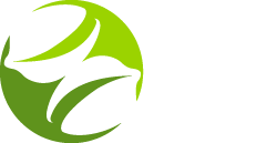 NusNus